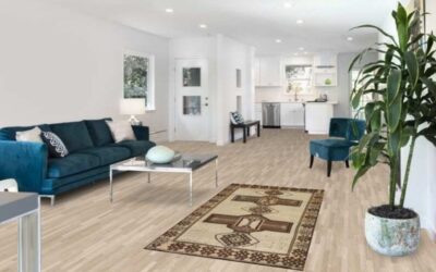 Exploring the Rich Heritage and Timeless Beauty of Gabbeh Rugs