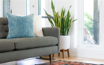 Elevate Your Home with Luxury Carpets: A Guide to Finding and Buying the Perfect Piece