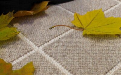 Embracing the Warmth and Comfort: Exploring the Benefits of Wool Carpet in the Fall