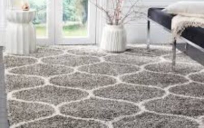 The Ultimate Guide to Thick Area Rugs: Elegance, Comfort, and Practicality