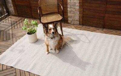 The Ultimate Guide to IKEA Outdoor Rugs: Style, Functionality, and Maintenance